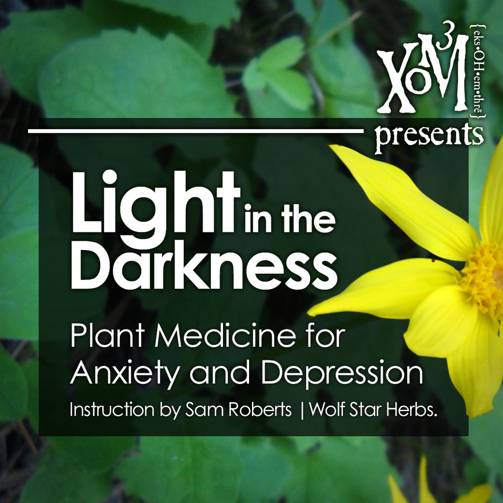 Weeds as Food & Medicine | Light in the Darkness 04/07/2018 - XoM3 Botanical Solutions
