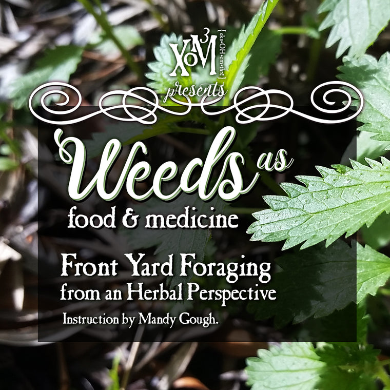 Weeds: Front Yard Foraging for Food & Medicine - XoM3 Botanical Solutions
