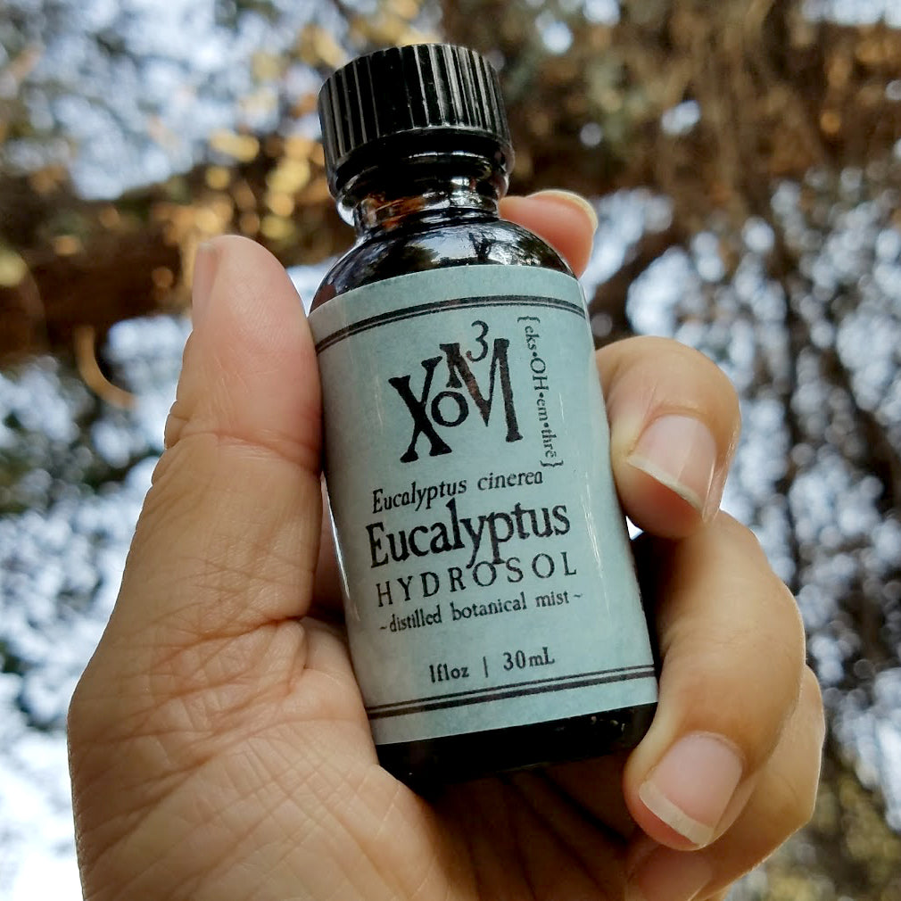 Eucalyptus Hydrosol - XoM3 Botanical Solutions